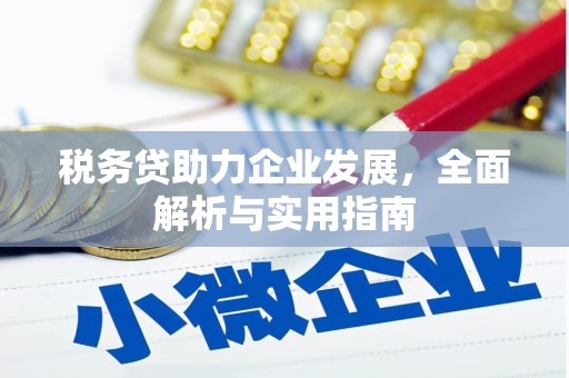 牡丹税务贷助力企业发展，全面解析与实用指南