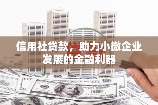 牡丹信用社贷款，助力小微企业发展的金融利器