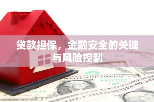 牡丹贷款担保，金融安全的关键与风险控制