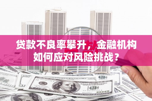 牡丹贷款不良率攀升，金融机构如何应对风险挑战？