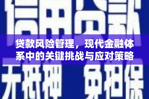 牡丹贷款风险管理，现代金融体系中的关键挑战与应对策略