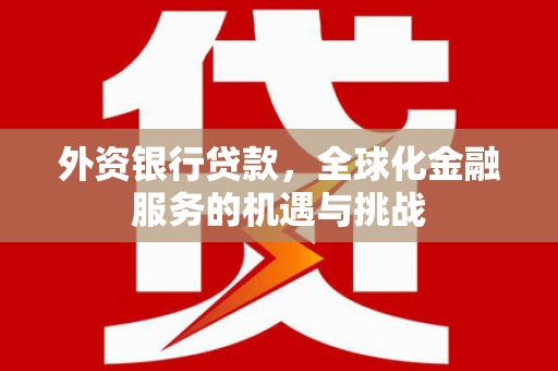 牡丹外资银行贷款，全球化金融服务的机遇与挑战