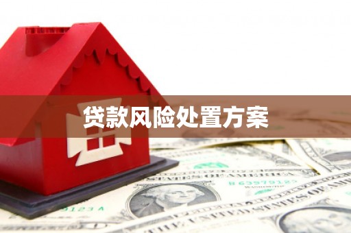 牡丹贷款风险处置方案