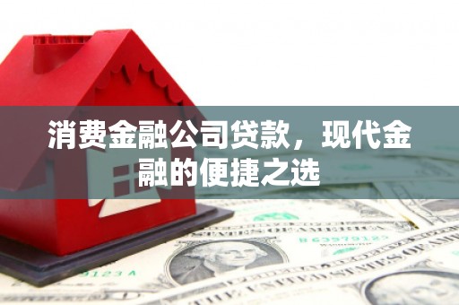 牡丹消费金融公司贷款，现代金融的便捷之选