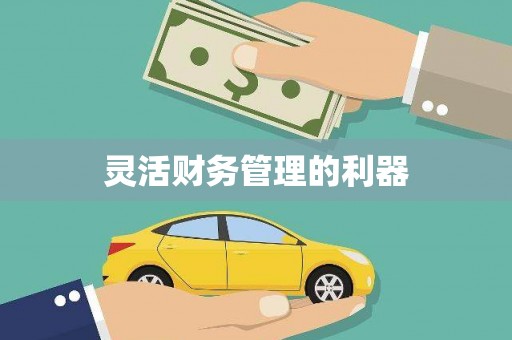 牡丹灵活财务管理的利器