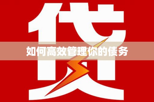 牡丹如何高效管理你的债务