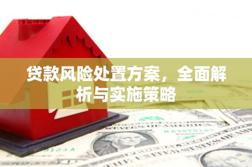 牡丹贷款风险处置方案，全面解析与实施策略