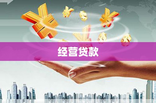 牡丹经营贷款