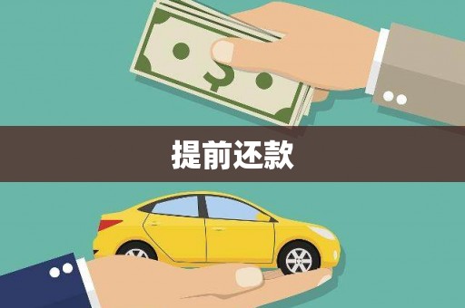 牡丹提前还款