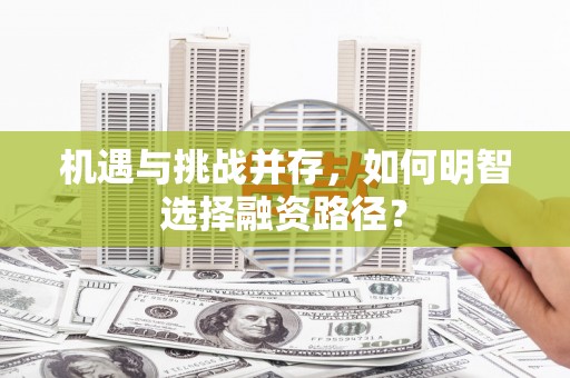 牡丹机遇与挑战并存，如何明智选择融资路径？