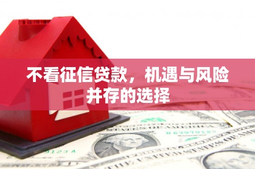 牡丹不看征信贷款，机遇与风险并存的选择