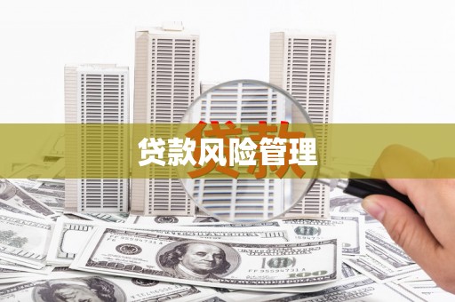 牡丹贷款风险管理